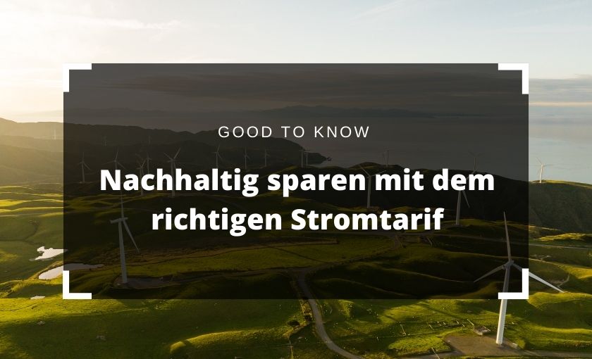 Ökostrom clever wählen