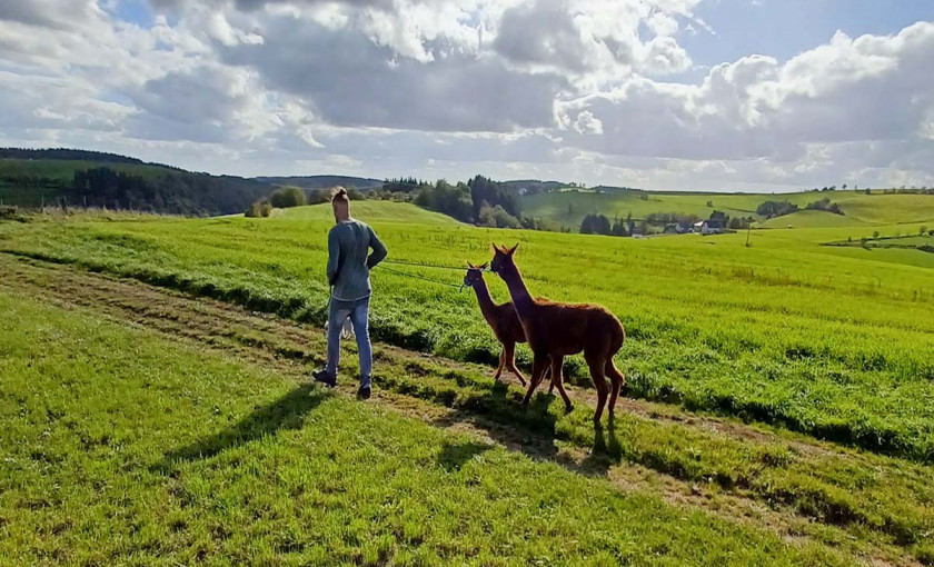 Alpaka-Trekking-Tour f&uuml;r 2 Pl&uuml;tscheid (6 Std.) Bild 4