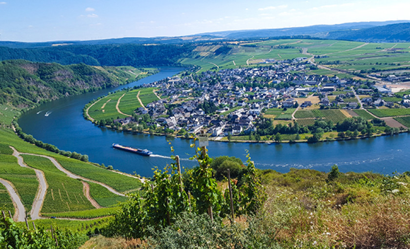 Gef&uuml;hrte Mofa Tour in Zeltingen-Rachtig f&uuml;r 2 Bild 2