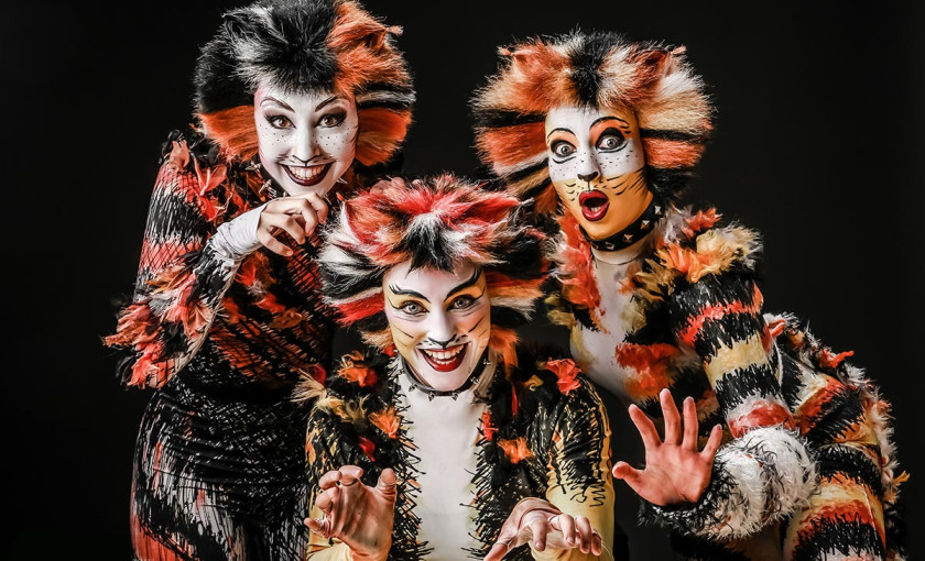 Best of Musicals M&uuml;hlheim am Main Bild 3