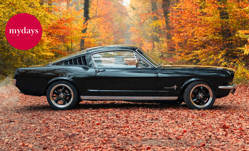 1966er Mustang Fastback mieten Hamburg (8 Std.) Bild 1