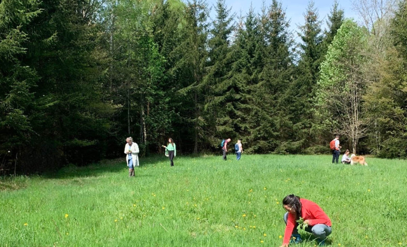 Kr&auml;uterwanderung Bild 4