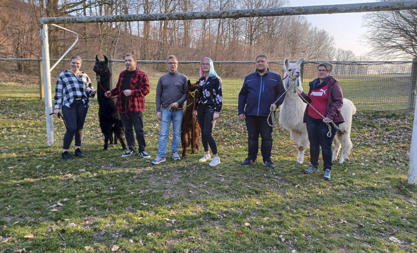 Alpaka Auszeit Sch&ouml;nau-Berzdorf Bild 5