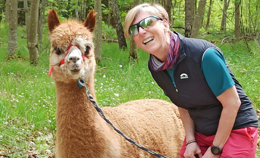 Alpaka Wanderung mit Picknick f&uuml;r 2 Waldenbuch Bild 3