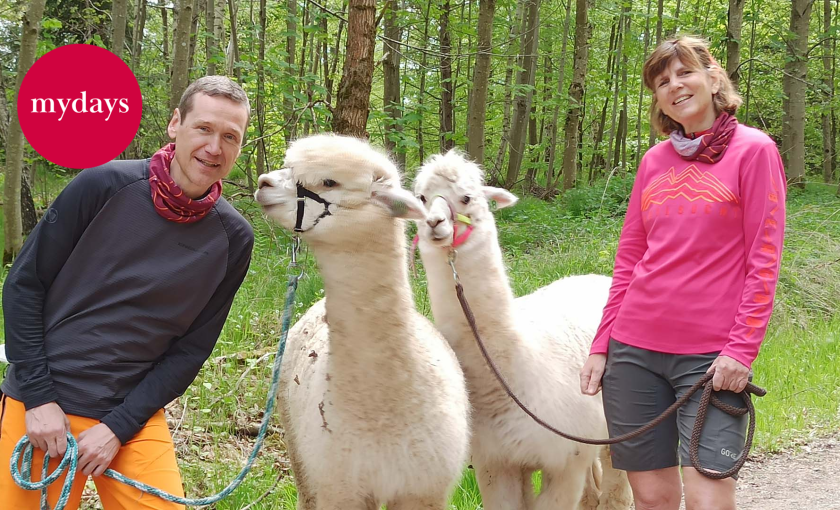 Alpaka Wanderung mit Picknick f&uuml;r 2 Waldenbuch Bild 1