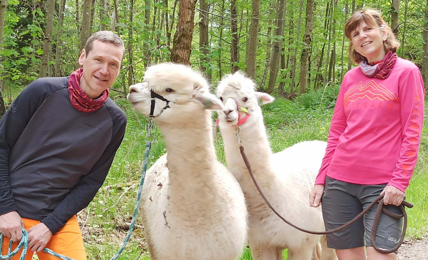 Alpaka Wanderung mit Picknick Waldenbuch Bild 2