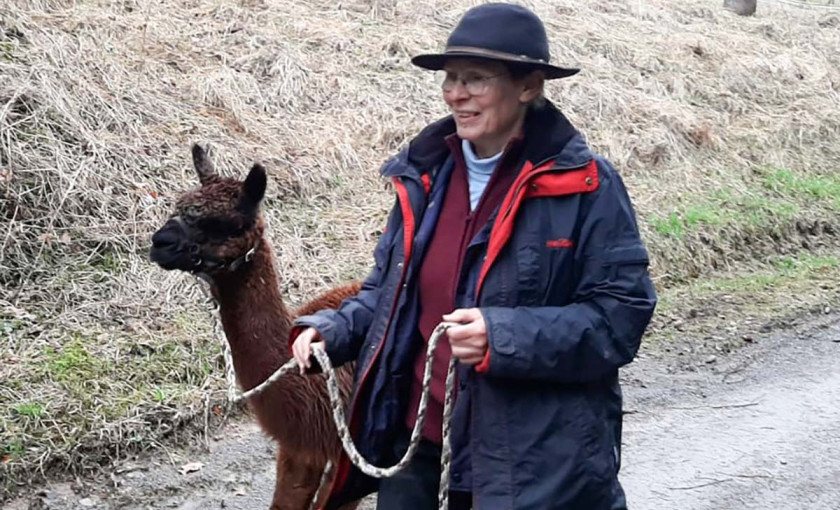 Alpaka Wanderung mit Picknick f&uuml;r 2 Waldenbuch Bild 5