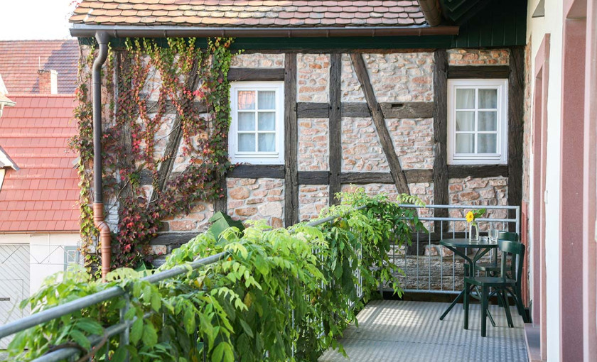 Asiatischer Kochkurs Weisenheim am Berg Bild 5