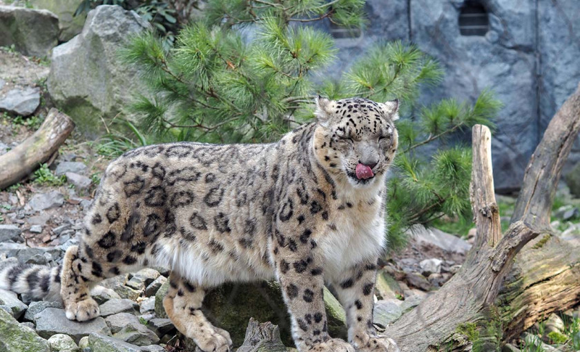 Fr&uuml;hst&uuml;ck & Zoobesuch Leipzig f&uuml;r 2 Bild 5