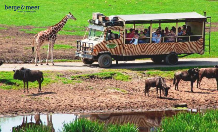 Was Kostet Ein Tag Den Serengeti Park Zu Erhalten www.benefits.me