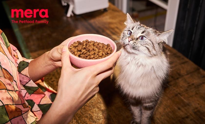 mera - The Petfood Family Bild 2