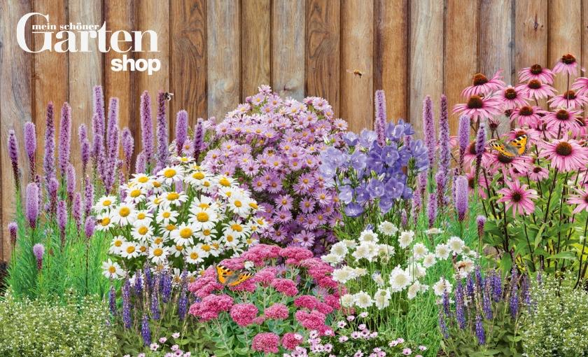 Mein sch&ouml;ner Garten Shop Bild 1