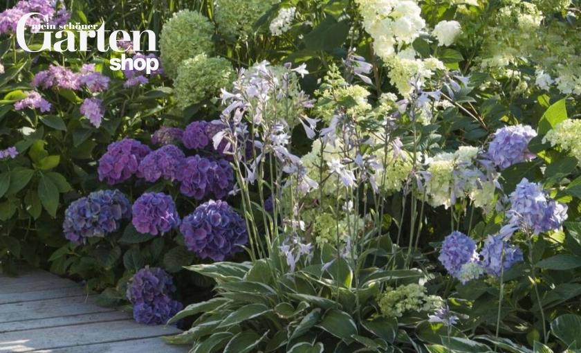 Mein sch&ouml;ner Garten Shop Bild 2