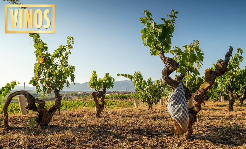 VINOS Bild 2