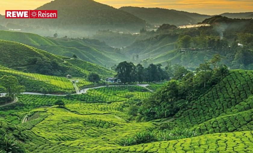 Singapur & Malaysia Bild 2