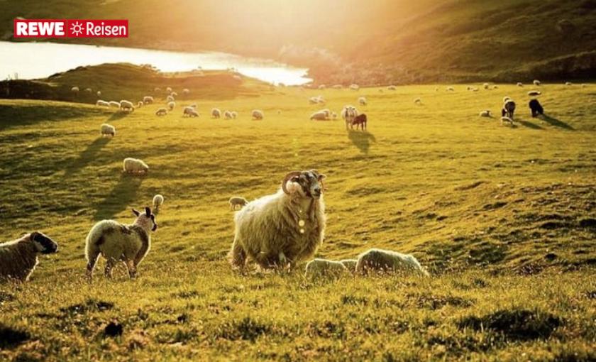 Irland - Rundreise Bild 2