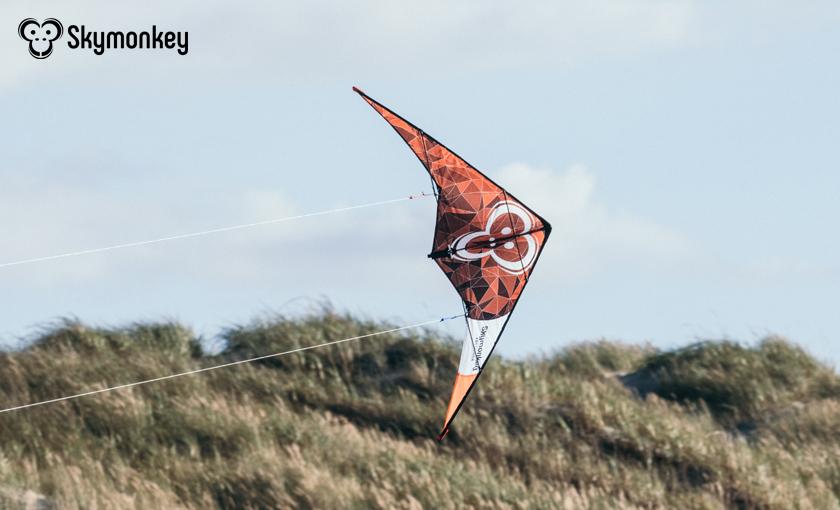 Skymonkey Bild 1