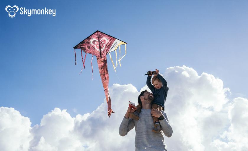 Skymonkey Bild 2