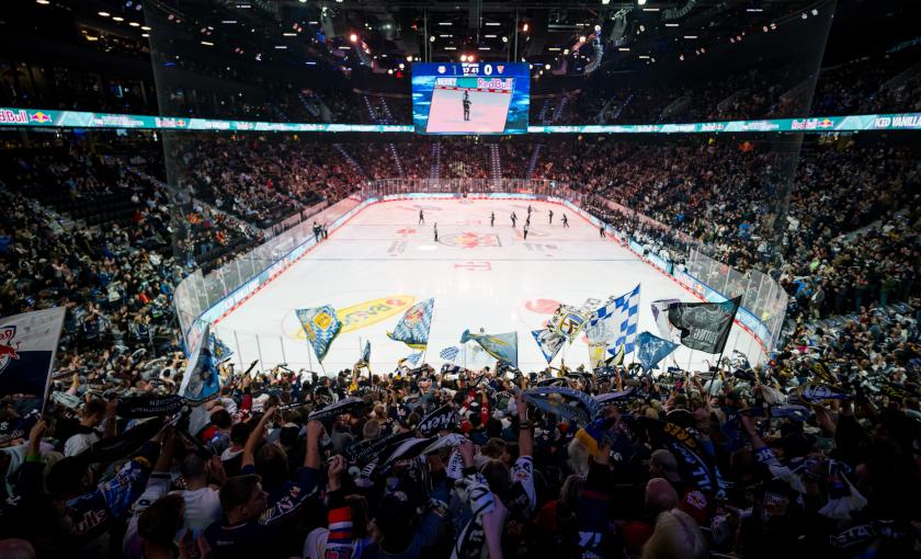 EHC Red Bull München Bild 3