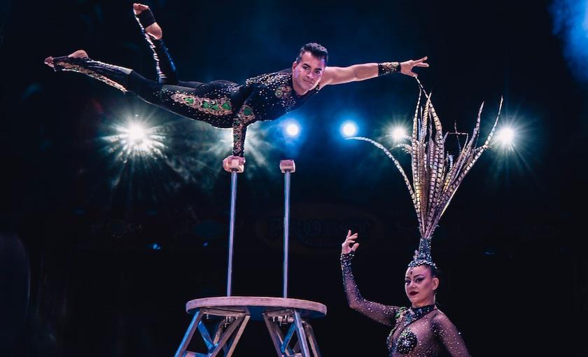 28. Gelsenkirchener Weihnachtscircus Bild 1