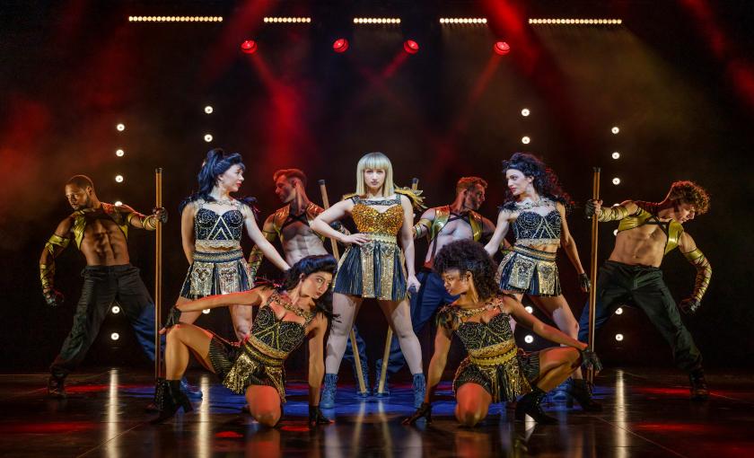 The BODYGUARD Bild 2