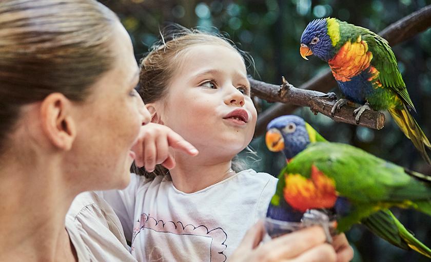 Weltvogelpark Walsrode Bild 1