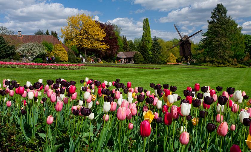 Weltvogelpark Walsrode Bild 2