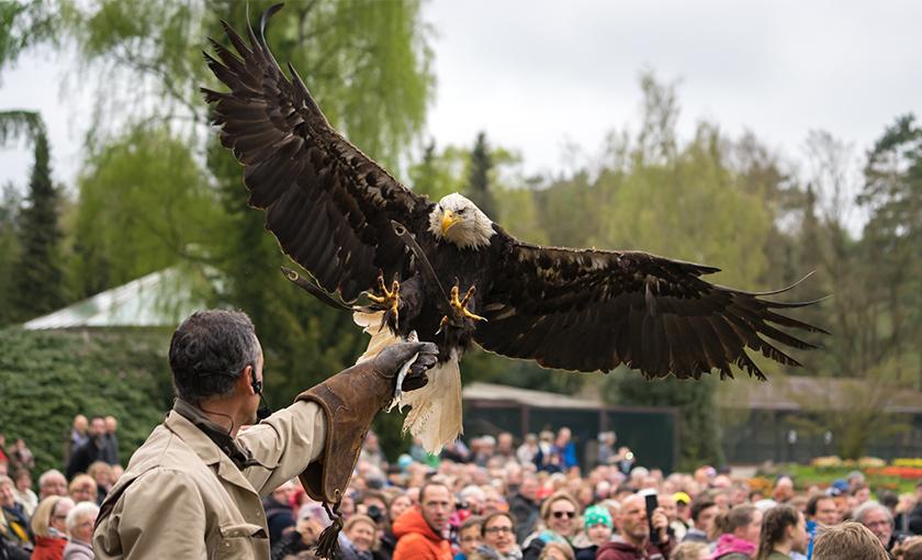 Weltvogelpark Walsrode Bild 3
