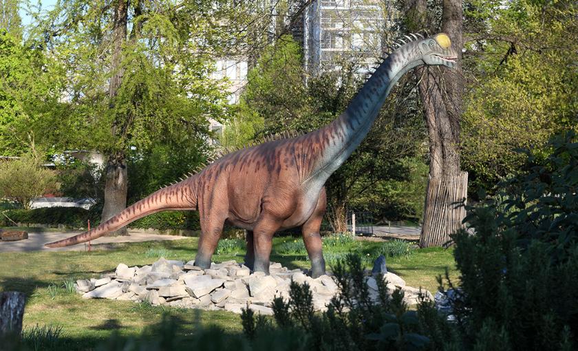 K&ouml;lner Zoo Bild 2