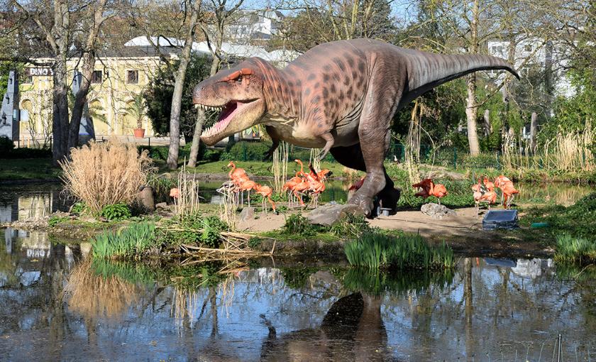 K&ouml;lner Zoo Bild 3