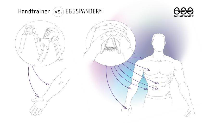 EGGSPANDER&reg; Bild 2