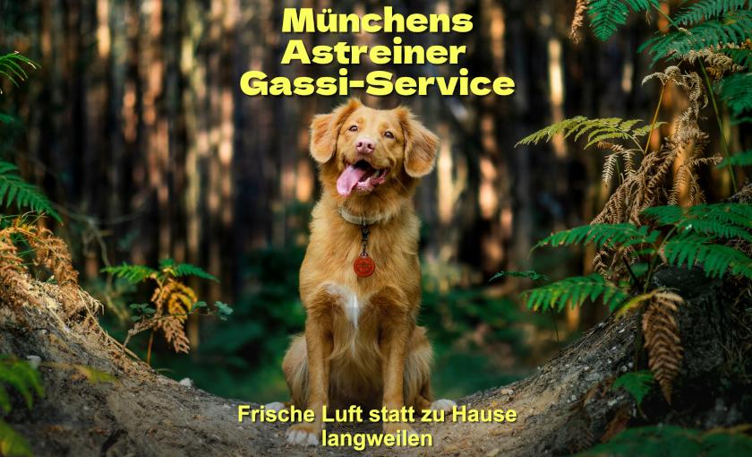 charlies crew Bild 2