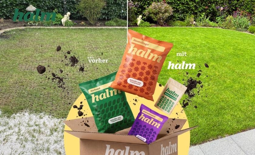 Halm Club Bild 1