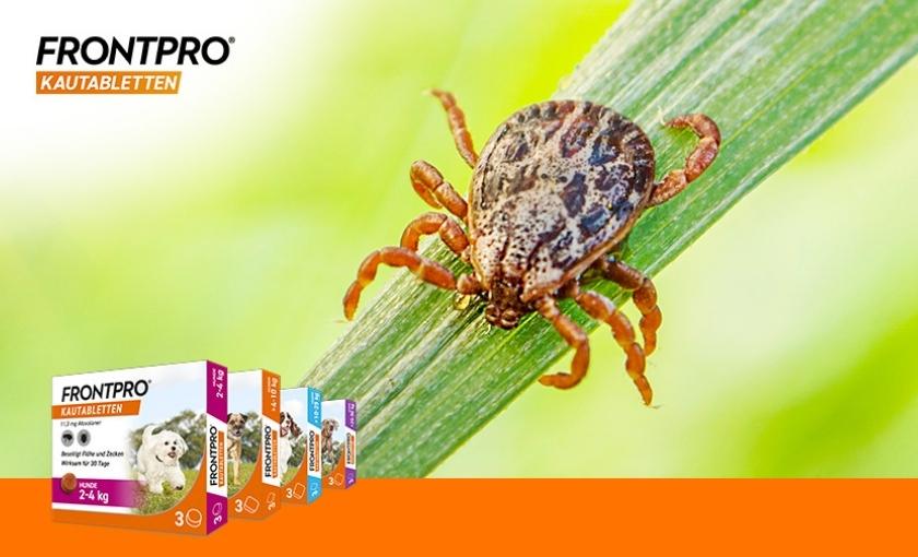 FRONTPRO&reg; Kautabletten Bild 3